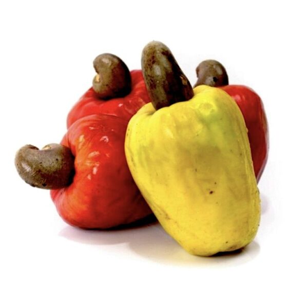 Cashew Apple